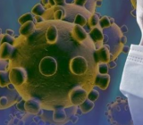 新冠肺炎有感作文