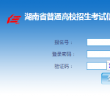 湖南考试信息港考生版