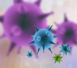 新型冠状病毒作文素材