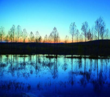 那道亮丽的风景线作文|一道风景线作文范文