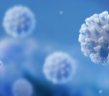 新型冠状病毒写作素材