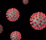 新型冠状病毒感染的肺炎防治知识试题