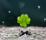 感悟生命的作文400字_关于感悟生命的作文