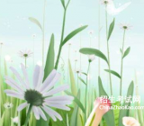 春天来了的作文|作文春天来了