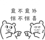 意外的惊喜作文500字_作文意外的惊喜