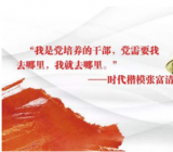 军神教案一等奖