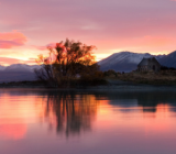 当下,有无数年轻人选择背井离乡作文