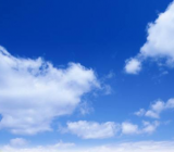 孙杨事件看法作文800