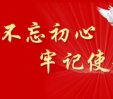 在主题教育总结大会上的发言稿大全