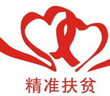 2019年扶贫工作总结大全