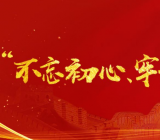 乡镇党委“不忘初心、牢记使命”主题教育工作总结大全