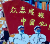 党员心得体会：打赢疫情阻击战彰显制度优势
