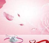 护士节活动内容