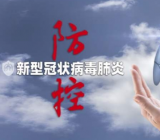 新冠肺炎作文 新冠作文