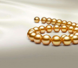 捡拾忆中的珍珠600字作文