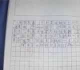 小升初满分作文3篇