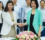 销售工作总结报告