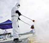 “疫情”相关作文可用名句180句