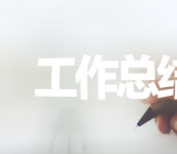 招标代理个人工作总结