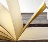 段仲仪将军真实简历