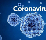 2020中小学新型冠状病毒教案