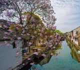 2020年五一劳动节旅游