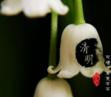 清明节来历的故事 清明节的来源