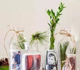 母亲节创意礼物