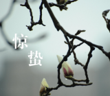 惊蛰诗句带诗意的