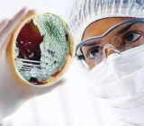 关于疫情的高中作文800字