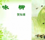 咏柳古诗贺知章