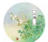 五律小满古诗意思