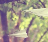 请让野味远离餐桌作文素材 保护野生动物作文