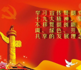 年度党建工作总结