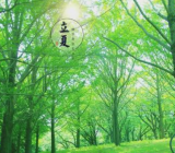 中班立夏的教案