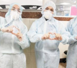 天下兴亡匹夫有责关于疫情的作文