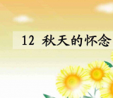 模仿《背影》《秋天的怀念》写一篇作文