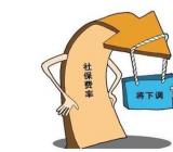 由建立工作协调机制统筹协调降低社保费率
