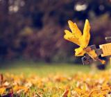 欢迎学生回校的欢迎词