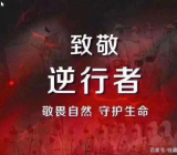 2020面对疫情思想汇报