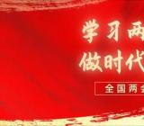 关于2020两会观后感学习心得 关于2020两会观后感学习心得汇总