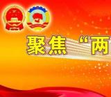 公务员观看学习2020两会心得体会