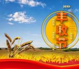 中国农民丰收节是几月几日