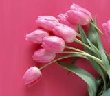 学习两会感悟作文