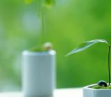 2020个人对照检查材料整改措施