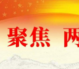 2020共学两会精神心得