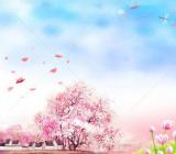 2020教师述职报告范文