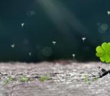 《中华人民共和国固体废物污染环境防治法》(2020年新旧对照表)