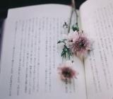 《敬畏生命》读后感