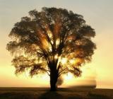 高考满分作文素材：经典段落摘抄(一)